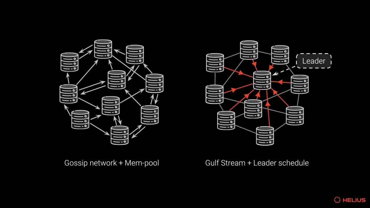 Gossip network + Mem-pool, Gulf stream + leader schedule