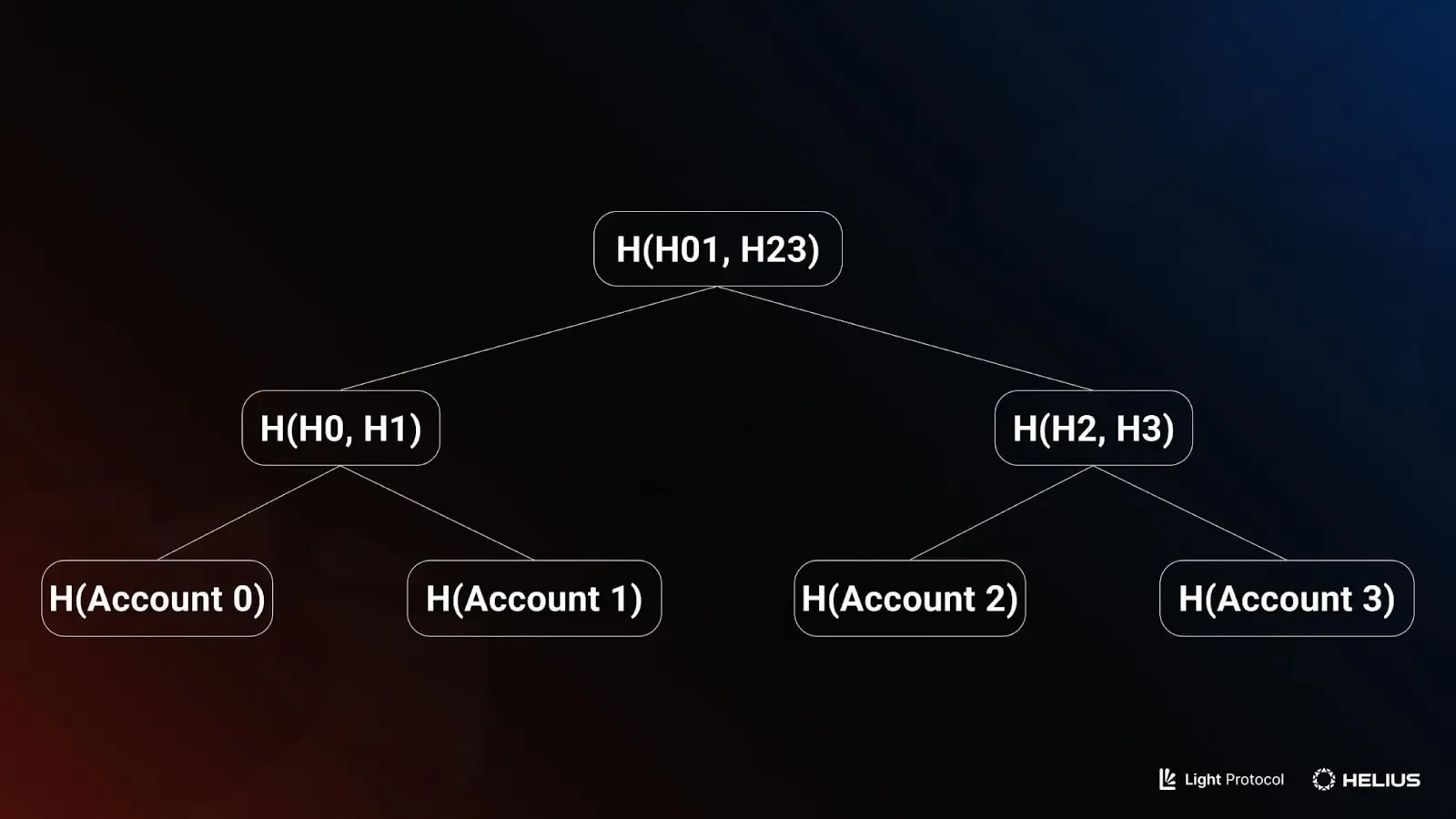 A Merkle tree structure with four accounts