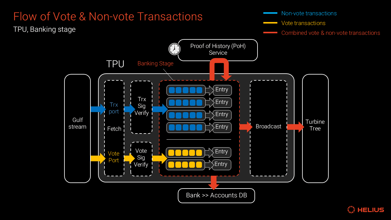 flow of vote and non-vote transactions